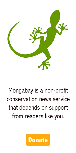 New call-to-action