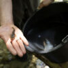 Freshwater ecologist Kurt Pinter holds a fish collected during the 2023 biological survey of the Neretva River, Bosnia and Herzegovina. Photo by Monica Pelliccia for Mongabay.