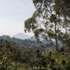 Kahuzi-Biega National Park