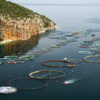 Fish farm in Saronic Gulf, off the Greek coast.