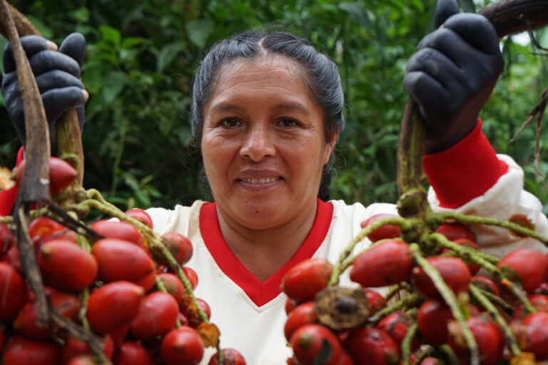 Harvesting abundance in the Amazon, and extinguishing the poverty mentality.