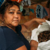 Katia Silene shows the Brazil nuts.