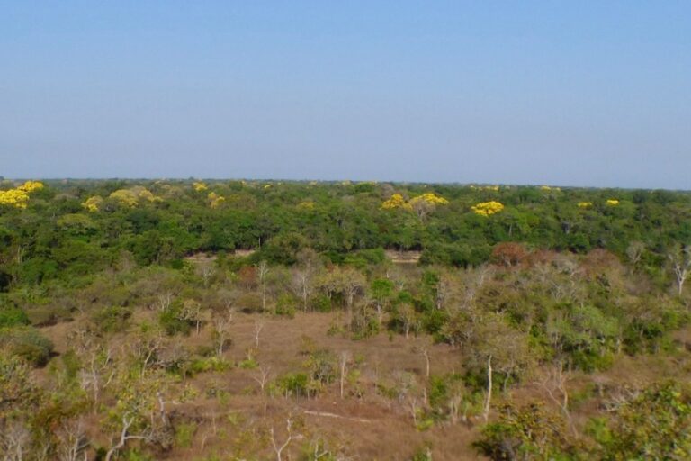 cerrado reserve