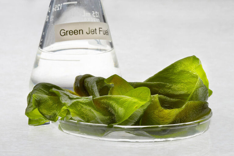 Lagae and biofuel.
