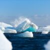 Arctic sea ice.