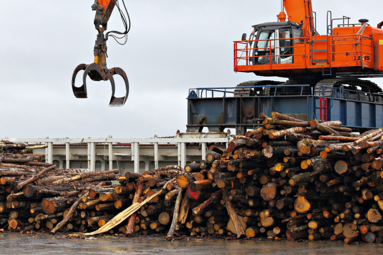 Timber for biomass burning at Tofte, Norway