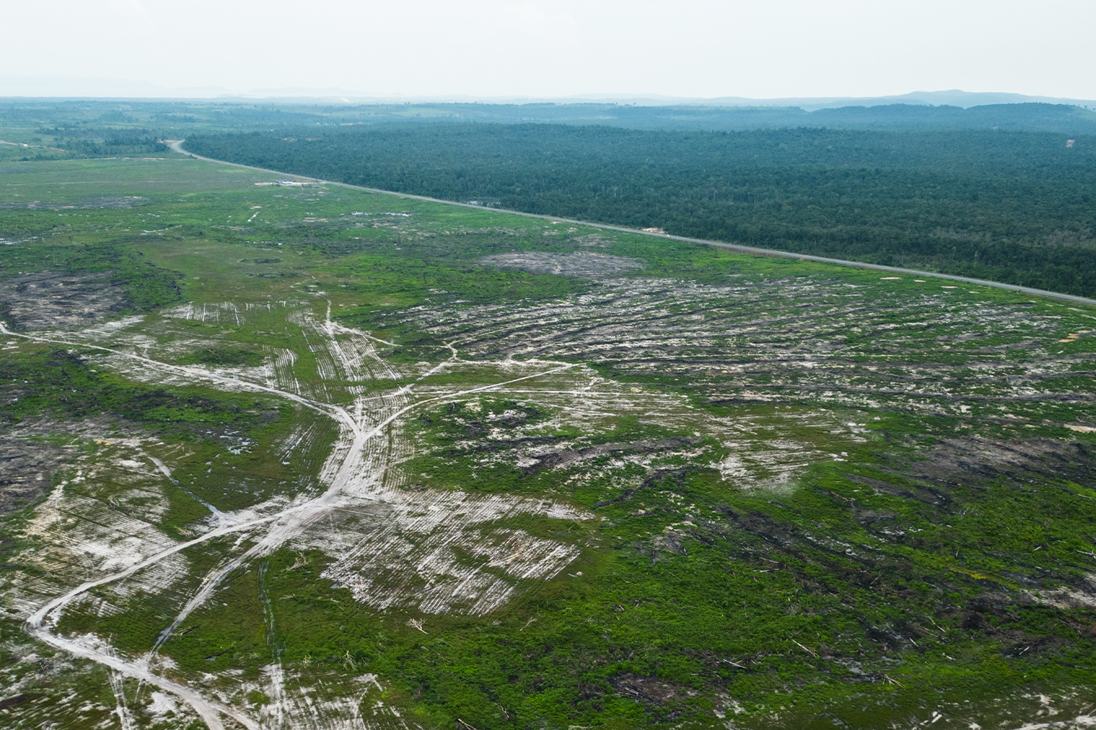 Aerial shot of Royal Group's special economic zone (SEZ), Botum Sakor, Koh Kong, Cambodia, in June 2023. 