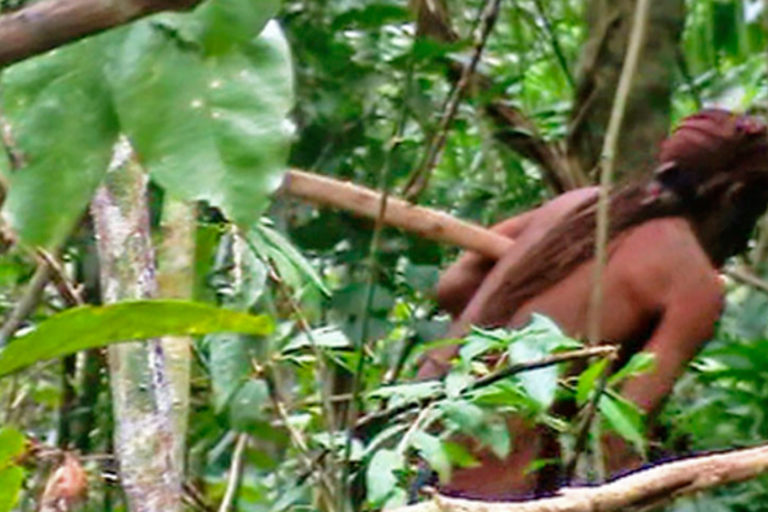 A photo taken of the Indigenous Tanaru man by a Funai official in 2018.