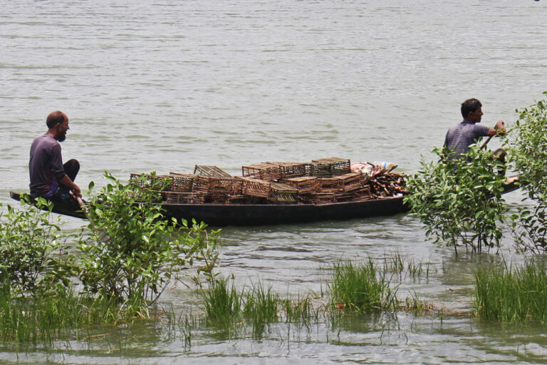 Fishermen fishing for crabs in the wild.