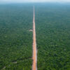 The last pocket of forest in Botum Sakor National Park is threatened by new roads, some of which are demarcation boundaries for parcels of forested land that have been awarded to Cambodian senator and tycoon Ly Yong Phat's family. Photo by Gerald Flynn/Mongabay.