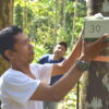 Bioacoustic researcher