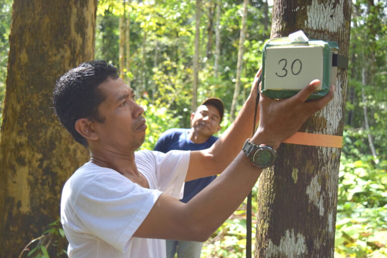 Bioacoustic researcher