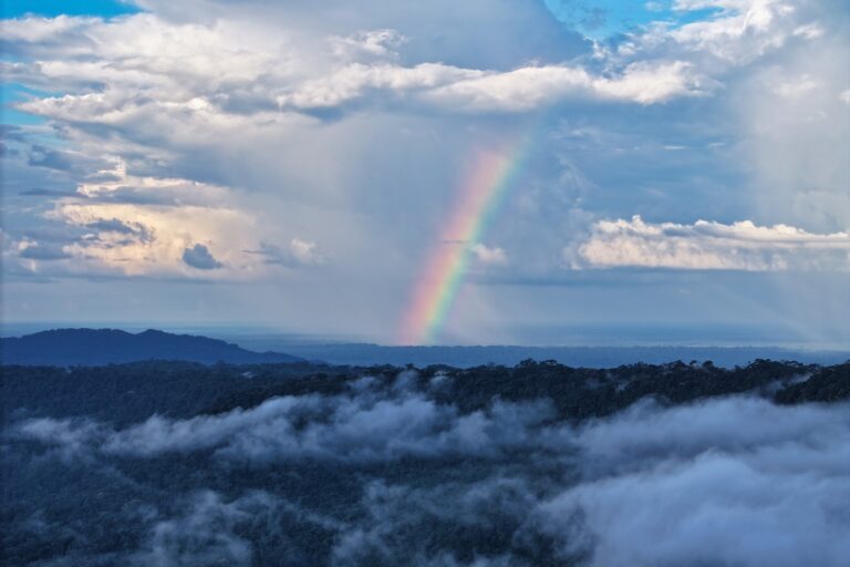 Rainbow over the Amazon rainforest