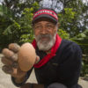 Eliza, a Haruku Kewang, is helping protect a local population of gosong birds. Photo credit: EcoNusa/Victor Fidelis