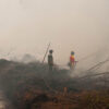 Army officers and and firefighters try to extinguish fires in peatland areas, Borneo.