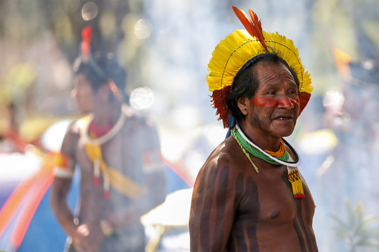 Yanomami Indigenous