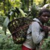 A girl carries sustainably foraged fruits back to her village. Image courtesy of John Novis / Greenpeace.