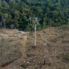 Aerial view of an area in the Amazon deforested for cattle ranching -- the biggest driver of deforestation in the Amazon -- in Lábrea, Amazonas state on Sep 15, 2021. Photo © Victor Moriyama / Amazônia em Chamas (Amazon in Flames Alliance)
