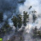 Haze in Riau Province. Photo by Rhett A Butler