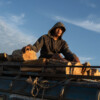 A Cambodian man rides a minivan loaded with timber destined for a garment factory.