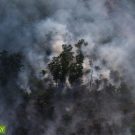 Fire set for peatland clearing in Riau Province, Indonesia in July 2015. Photo by Rhett A. Butler