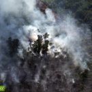 Fire set for peatland clearing in Riau Province, Indonesia in July 2015. Photo by Rhett A. Butler