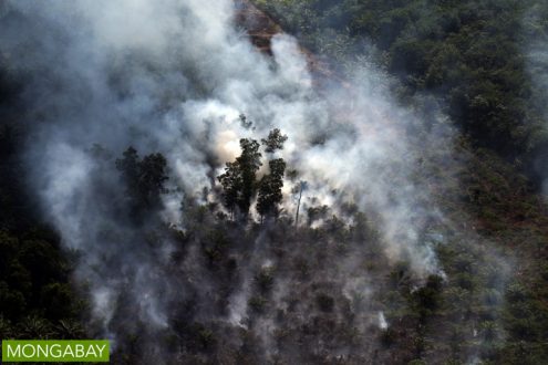 Fire set for peatland clearing in Riau Province, Indonesia in July 2015. Photo by Rhett A. Butler