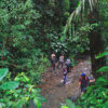 A stream in a forest in Jambi.