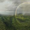 Rainbow over the rainforest and oil palm plantations in the midst of a tropical downpour in Jambi on the Indonesian island of Sumatra. Photo credit: Rhett A. Butler