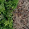 Deforestation in Kapuas Hulu regency, West Kalimantan, Indonesia. Photo by Rhett A. Butler