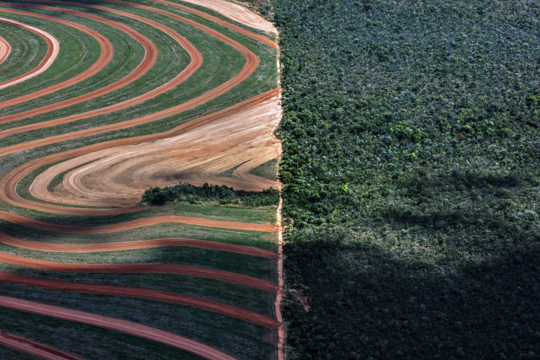 Aerial photo of thick rainforest and the plowed fields of crops.