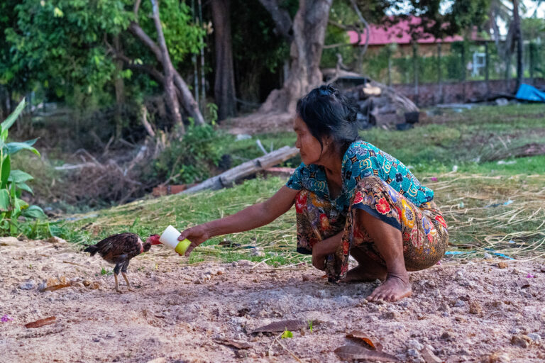 It’s early morning and Lun Yi feeds her chicken.