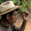 “We sow our plants and when the time of flowering comes, the drought dries them up and they die,” says Mariano from rural Indigenous Guatemala.