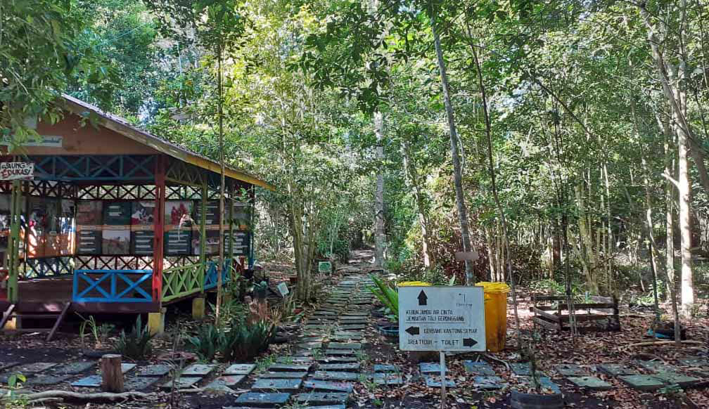 Inside the Marsawa Peat Arboretum.