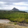 Mangrove forest on Nosy Lonjo, Antsiranana, Madagascar. Image by Kenguinaud via Wikimedia Commons (CC BY-SA 4.0).
