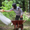 A worker fertilizing on oil palm plantation in Papua, Indonesia.