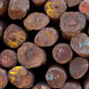 Rosewood logs. Image courtesy of Environmental Investigation Agency.