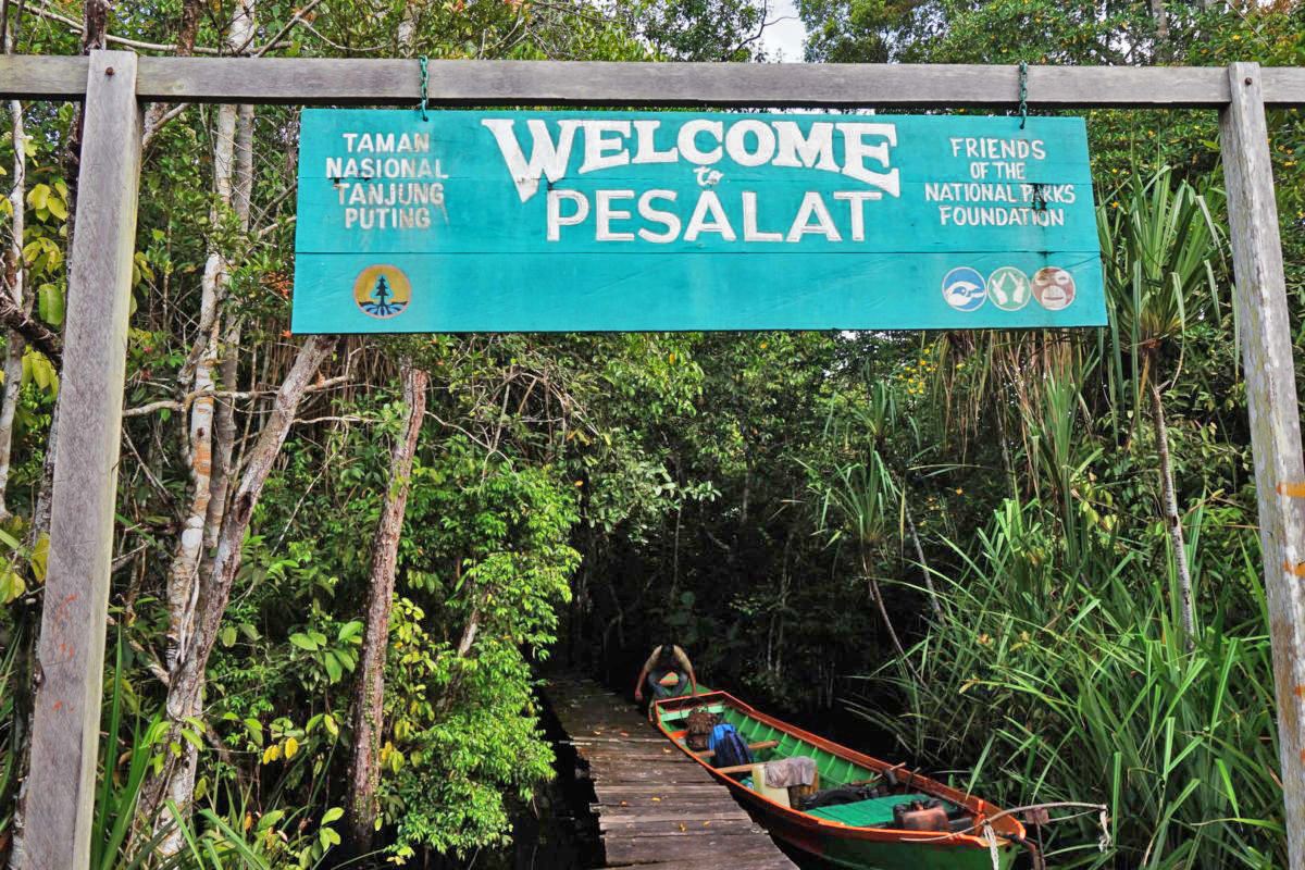 The Pesalat project
