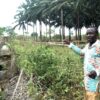 Activist Emmanuel Elong at the foot of an ancestral tomb on the sacred site of Bayong Mbonjo. Photo by Yannick Kenné.