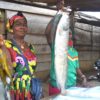 Fishmongers in the Ndji village market get by with very little. Image by Yannick Kenné.