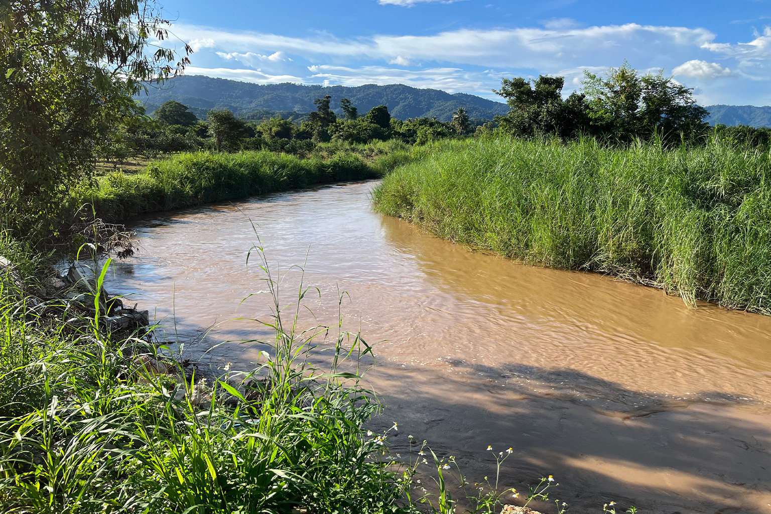 Pomelo orchards and fields of cash crops close to important Mekong tributaries.