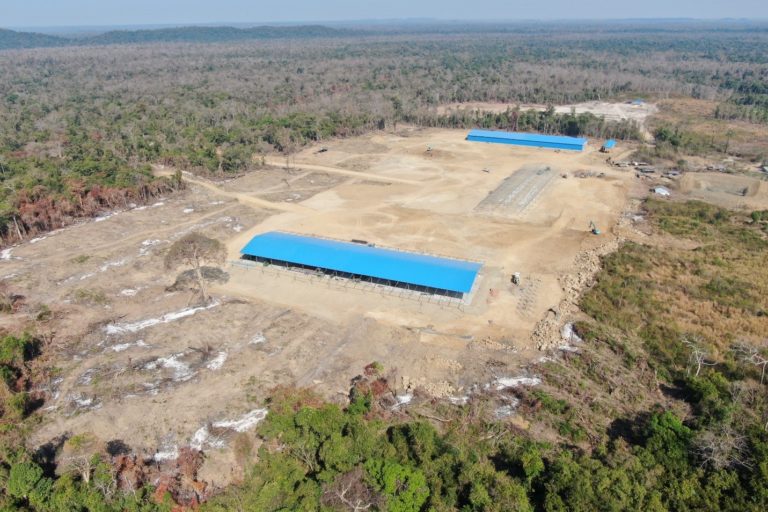 A sawmill near the Think Biotech concession.