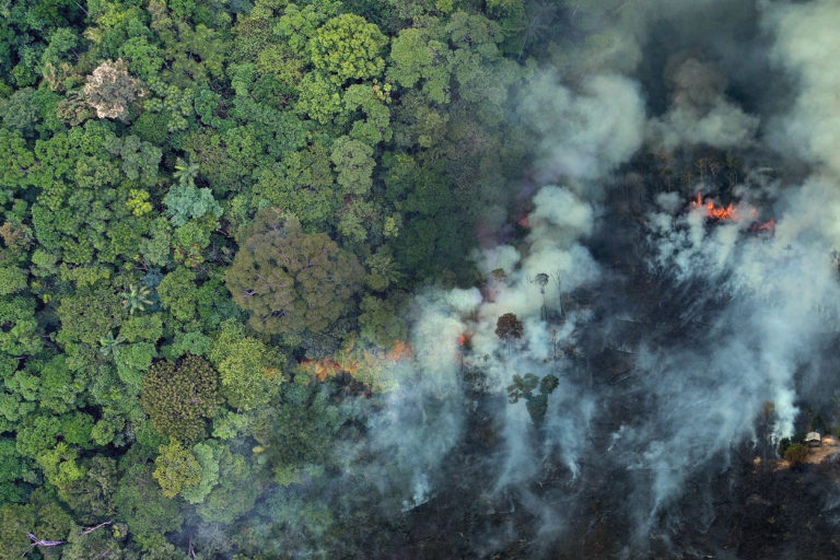 Composite image. Left: Amazon rainforest - photo credit: Rhett A. Butler. Right: Burning forest in the Brazilian Amazon - image credit: Greenpeace