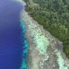 Coral reef, ocean, mangroves, and forest.