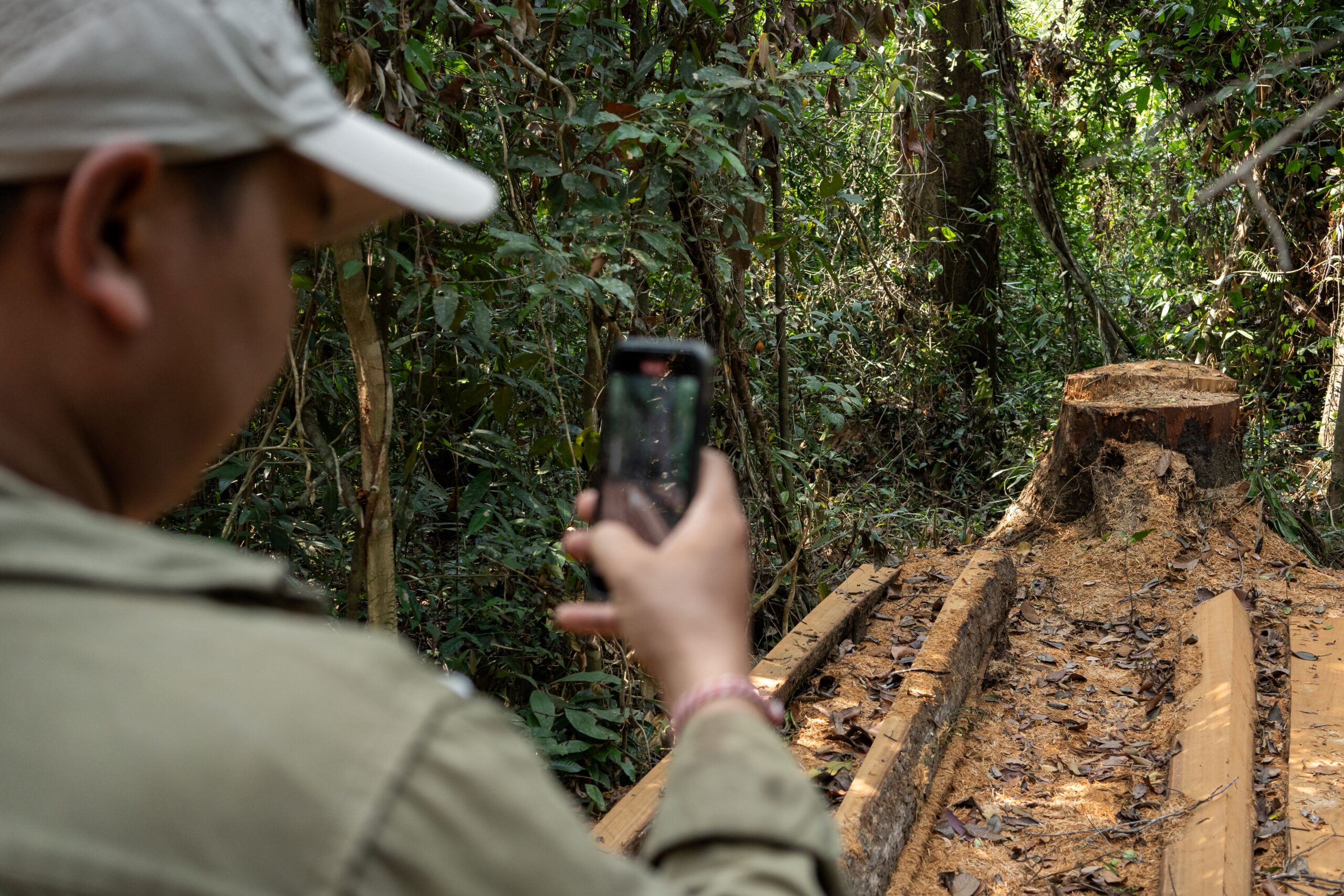 San Mala and the community members document the stumps of freshly cut trees throughout the protected forest in northern Cambodia. Image by Andy Ball / Mongabay.