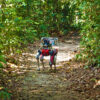 Spot, the robotic dog, is equipped with cameras and audio recorders.