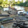 Rosewood stacked for river transport in Madagascar, 2010.
