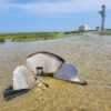 Metal debris in water near SpaceX launch site. Image courtesy of the Coastal Bend Bays & Estuaries program of Defenders of Wildlife.