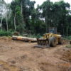 Front-end loader in a raw clearing in forests in Sudcam's concession near Cameroon's Dja Faunal Reserve. Image courtesy Nchemty Metimi Ozongashu / Greenpeace.