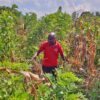 Tana is his field.